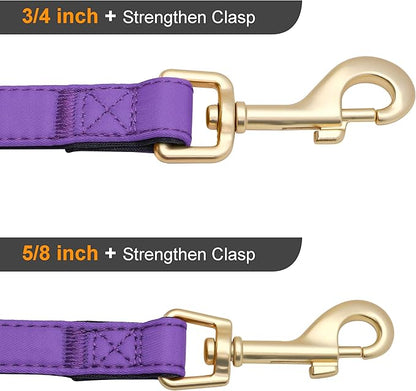Didog Colorful Soft Padded Nylon Dog Collar & 5FT Dog Leash Set for Medium Dogs