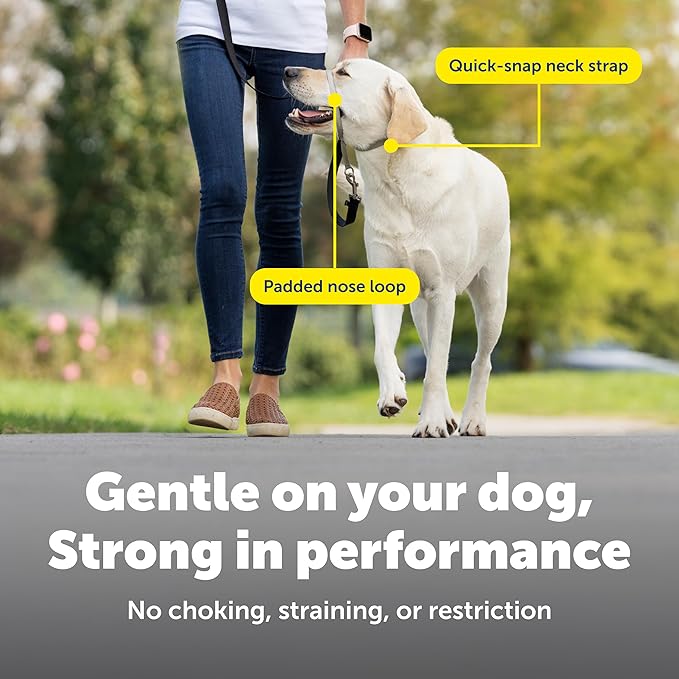 PetSafe Gentle Leader No-Pull Dog Headcollar - The Ultimate Solution to Pulling - Redirects Your Dog's Pulling for Easier Walks - Helps You Regain Control - Small, Apple Green