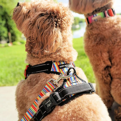 Lucky Love Dog No Pull Dog Harness, Adjustable and Easy to Walk, Cute Patterned Harness for Large Male & Female Dogs - Hippie, Large
