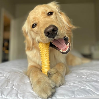 Nylabone Customer Favorites Power Chew Toy Bundle for Dogs, Indestructible Dog Toys for Aggressive Chewers, Pack of 3 Dog Toys, Flavor Medley, Large Dogs - Up to 50 lbs, 3 Pack