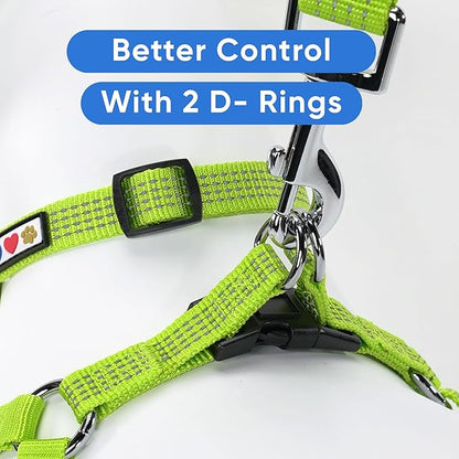 Pawtitas Reflective Step-in Dog Harness – Adjustable No-Pull Vest for Puppies to Seniors, Safe & Comfortable, XS Green