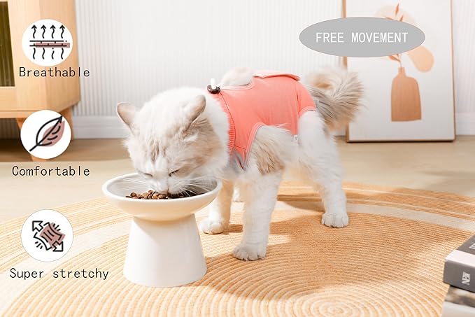 Cat Recovery Suit Female Kitten Onesie for Cats After Surgery Female Spay Surgical Abdominal Wound Skin Diseases Cone Collar Soft Alternative Wear (Orange, S)