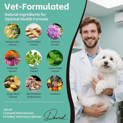 Kennel Cough Medicine for Dogs – Natural Respiratory Support | Helps Soothe Tracheal Collapse, Dry & Wet Cough, Choking & Wheezing | Honeysuckle, Licorice, Lemon Balm 200 Chew