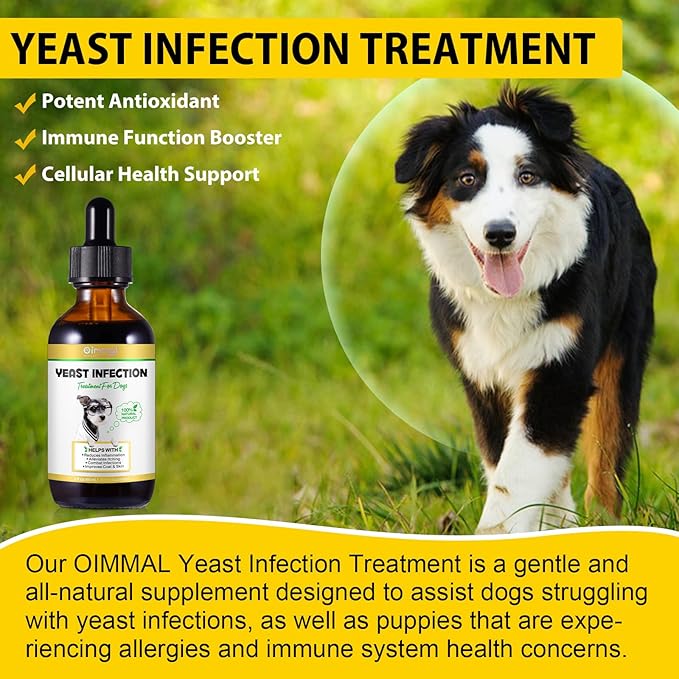 Yeast Infection Treatment for Dogs, Natural Dog Yeast Infection Treatment Supports Itch Relief, Ear Infection, Allergy Relief, Pet Supplies Dog Herbal Supplement, Bacon Flavor-2PCS