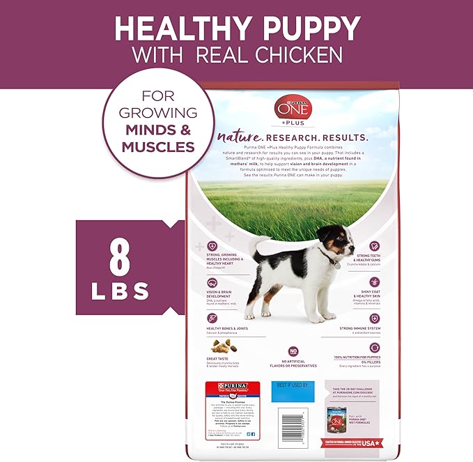 Purina ONE Puppy Food, High Protein Formula | Natural Ingredients | Added Vitamins | 8 lb Bag | Pack of 2