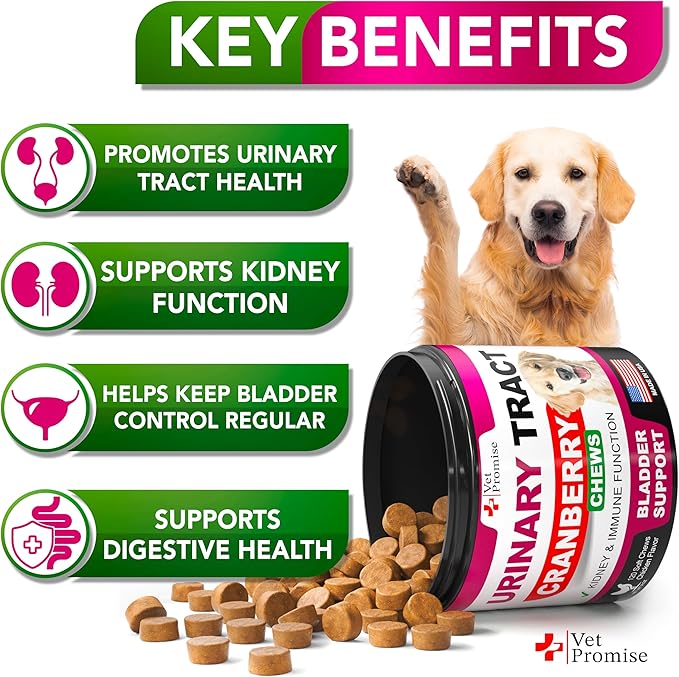 Dog UTI Chews - Advanced Cranberry Supplement for Dogs - Bladder Control - Urinary Tract Support - Cranberry Supplement Vitamins Multivitamin Chews - Made in USA