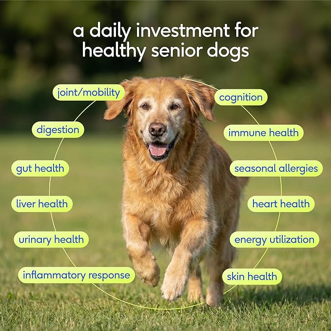 Native Pet Senior Daily Dog Vitamins & Supplements – 12-in-1 Dog Multivitamin Powder for Senior Dogs – Supports Mobility, Cognition, Digestion, Immune Health & More – 60 Scoops