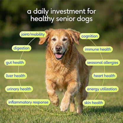 Native Pet Senior Daily Dog Vitamins & Supplements – 12-in-1 Dog Multivitamin Powder for Senior Dogs – Supports Mobility, Cognition, Digestion, Immune Health & More – 60 Scoops