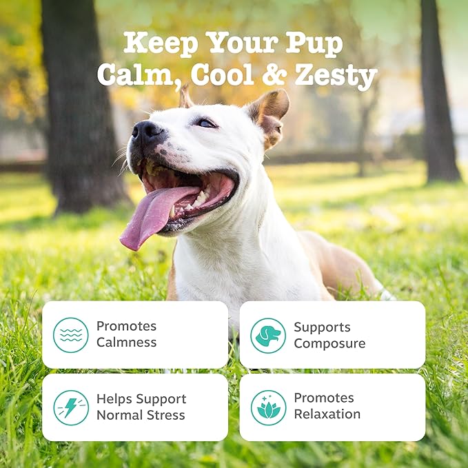 Zesty Paws Calming Chews for Dogs Composure & Relaxation for Everyday Stress & Separation Peanut Butter 90 Count