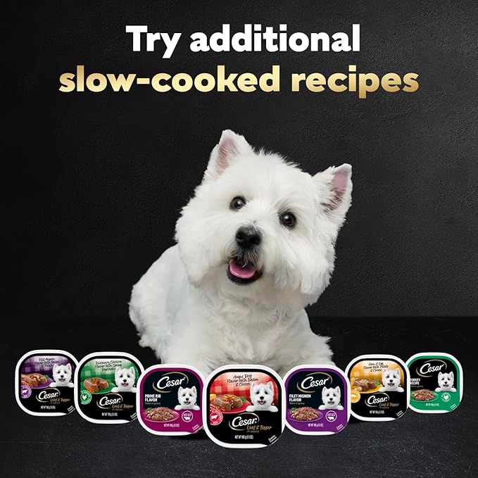 Cesar Loaf in Sauce Wet Dog Food Rotisserie Chicken,Filet Mignon,Angus Beef,and Ham & Egg Flavors Variety Pack,Wet Food for Dogs,3.5 oz Easy Peel Trays,24 Count (Pack of 2)