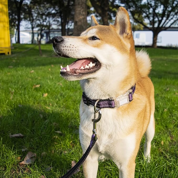 Reflective Dog Collar for Large Dogs Mesh Padded Large Dog Collar, Adjustable Pet Collar with Quick Release Buckle, Durable Breathable &Fade Resistant-Purple
