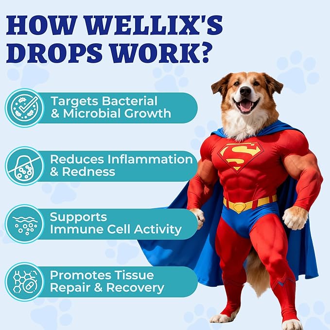 Wellix 120ml Natural Antibiotics for Cats&Dogs - Natural Herbal Supplement for Wound Care, UTI, Sneezing Treatment & Cold Relief - Cat Antibiotics Chicken Flavor for All Ages & Breeds