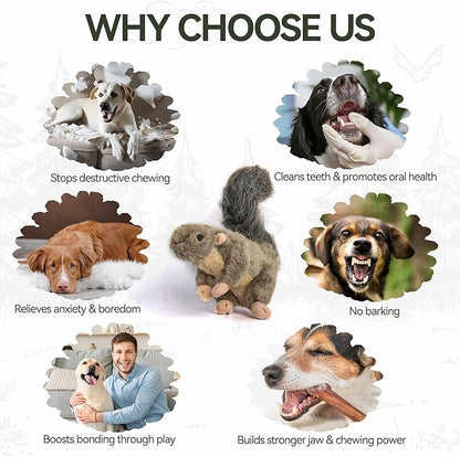 ALL FOR PAWS Classic Squirrel Pet Toys, Small
