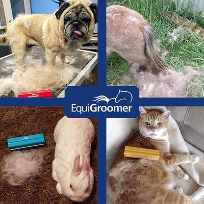 EasyGroomer Deshedding Brush for Dogs & Cats – Undercoat Grooming Tool for Short & Long Hair, Removes Loose Fur & Dirt, Reduces Shedding for Small & Large Pets, Turquoise