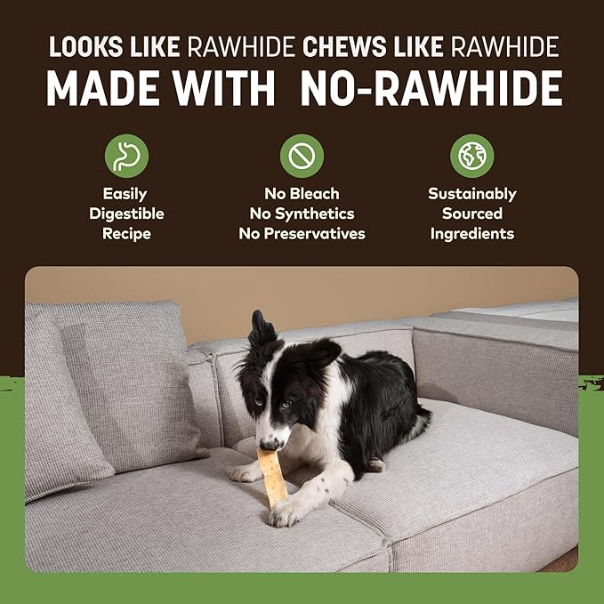 Earth Animal No Hide Strips - Natural Rawhide Free Dog Chew Strips, Pork - 16 Count