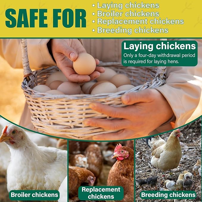 Dewormer for Chickens, Poultry, Fenbendazole for Chicken Dewormers, Tapeworms, Roundworms & Hookworms, with Measuring Syringe, 100ml