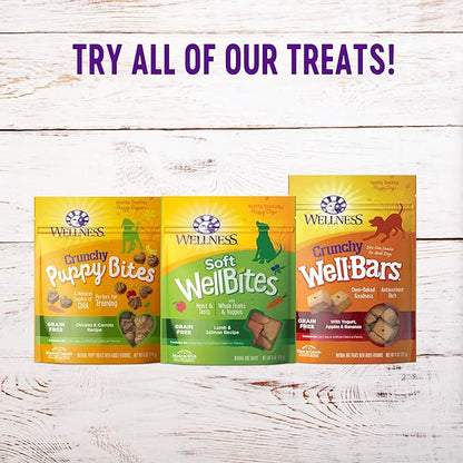 Wellness Soft Puppy Bites Healthy Grain-Free Treats for Training, Dog Treats with Real Meat and DHA, No Artificial Flavors (Lamb & Salmon, 8-Ounce Bag) (Pack of 2)
