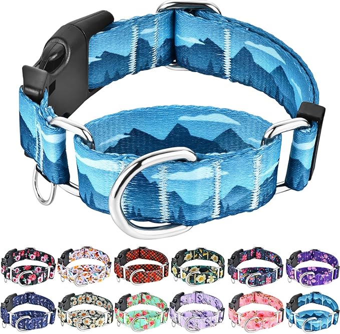 Martingale Collar for Dogs with Buckle Dog Collar Adjustable Soft Nylon Boy Dog Collars for Small Dogs, Blue Sunset