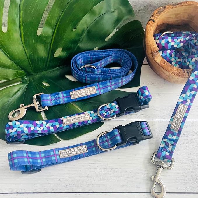 Lucky Love Dog - Adjustable Dog Collar with Easy Click Buckle for Large Dogs, Durable, & Comfortable for Male & Female Dogs, Pet Collar for Puppies & Adult Ones - Jasper, Large
