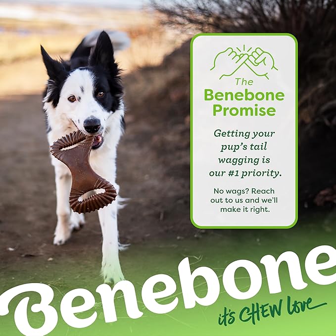 Benebone Dental Durable Dog Chew Toy for Aggressive Chewers, Real Chicken, Made in USA, Medium