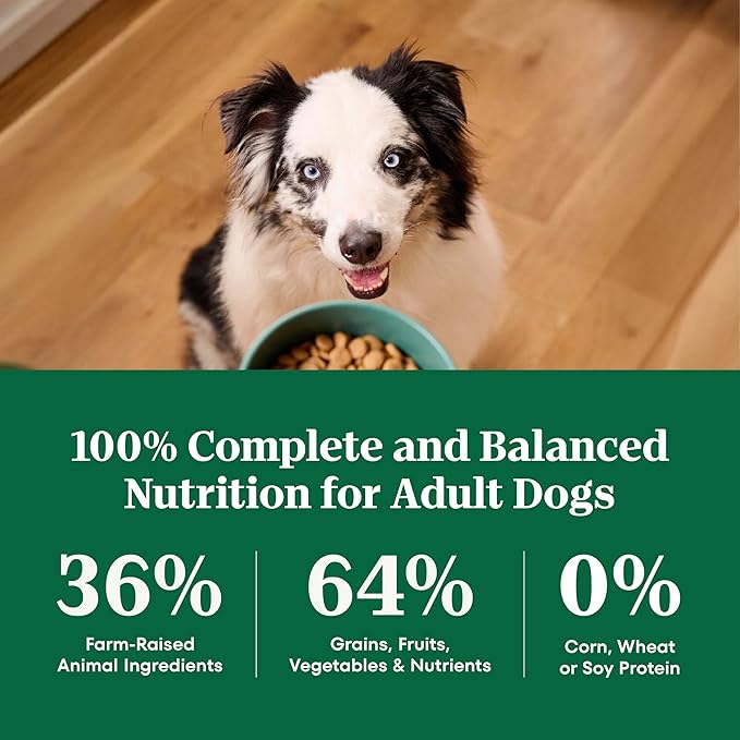 Nutro Natural Choice Large Breed Healthy Weight Dog Food, Chicken & Brown Rice Recipe, 30 lb. Bag