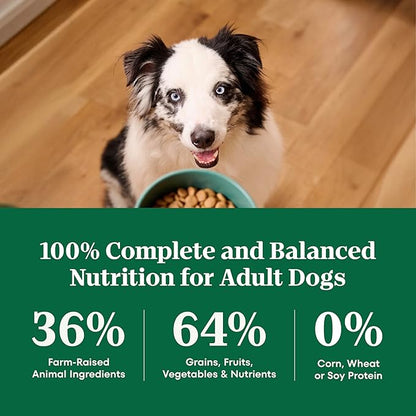 Nutro Natural Choice Large Breed Healthy Weight Dog Food, Chicken & Brown Rice Recipe, 30 lb. Bag