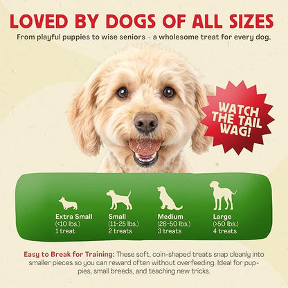 Chewmasters Duck Coins Training Treats for Dogs (32 oz) – Dog Training Treats – Healthy Rewards – Real Duck Meat Bites for All Breeds