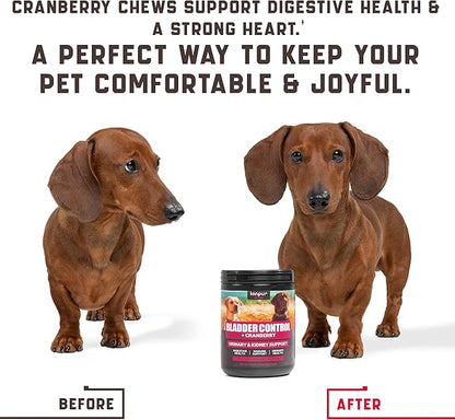 Dog UTI Treatment 120 Chews w Cranberry, Natural UTI Medicine for Dogs - Pet Supplement for Dog Urinary Tract Infection Treatment, Good for Bladder Control, Dog Incotinence, Kidney Health, Dog Breath