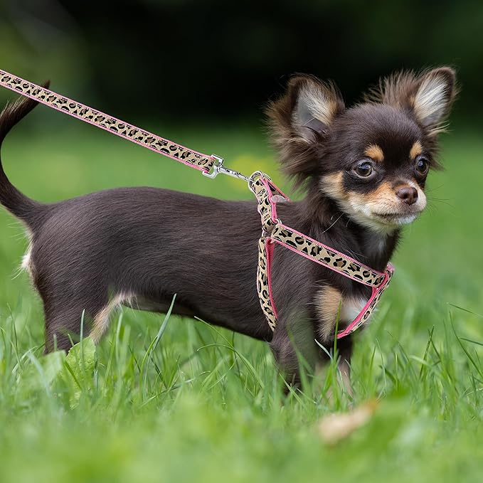 Mile High Life Leopard Dog Harness Collar Leash Set, Adjustable No Pull Dog Halter Harness for Small Breed Dogs, Easy Control for Training Walking (Pink, S Chest 11"-18", Neck 10"-14")