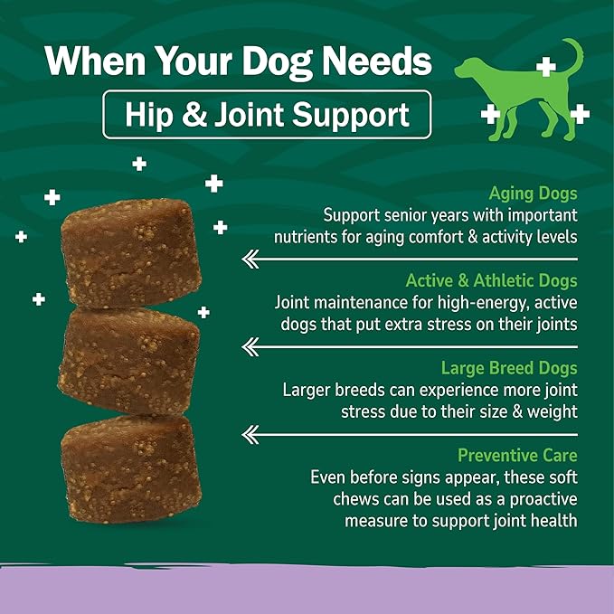 Petnc Hip & Joint Health Supplement for Dogs (90 Chews), Glucosamine Chondroitin MSM Dog Chews with Hyaluronic Acid, Liver Flavored Bone & Joint Support Supplement, For All Breeds