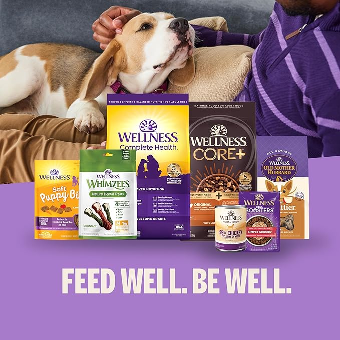 Wellness Old Mother Hubbard Milk Bar P'Nutty B-Day Party Dog Biscuits, Natural Treats, Peanut Butter Flavor with Birthday Icing, 10 oz Bag