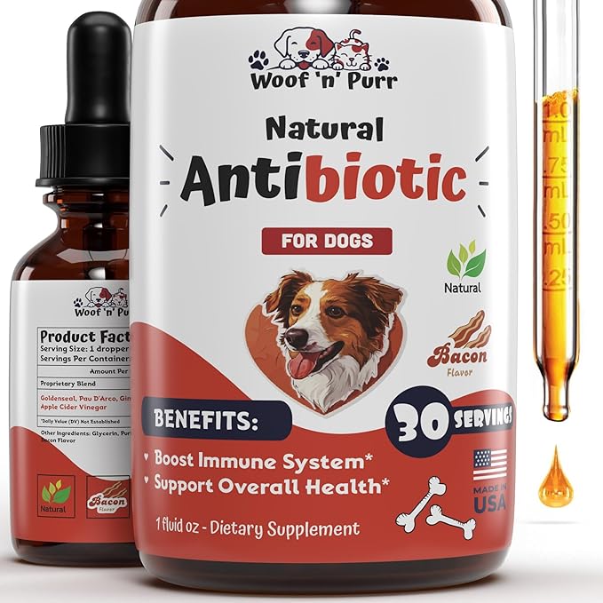 Dog Antibiotics for Infection, Coughs, UTIs, Allergies, Itching | Natural Antibiotics for Dogs to Support Skin, Coat, & Digestion | for All Breeds & Ages | 1 fl oz