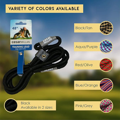 Cesar Millan Slip Lead Leash | Dog Leash | in Training Leash | (Regular, Black/Tan)