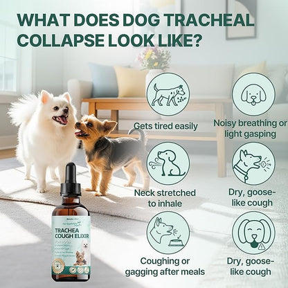 Collapsed Trachea Treatment for Dogs, Trachea Cough Elixir, Dog Cough Treatment –Natural Herbs Respiratory Support, Promotes Throat Comfort and Breathe Smoothly for Honking Cough, Gagging and Wheezing