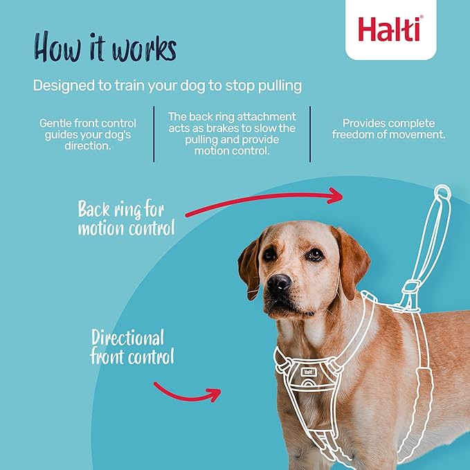 Halti No Pull Harness - Stop Your Dog Pulling on the Leash. Adjustable, Lightweight and Easy to Use. Reflective Dog Training Harness for Medium Dogs (Size M, Black)