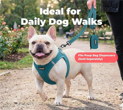 Best Pet Supplies Voyager Reflective Dog Leash or Collar with Neoprene Handle, for Small, Medium, and Large Breed Puppies, Cute and Heavy Duty for Walking, Running and Training - Turquoise (Leash), L
