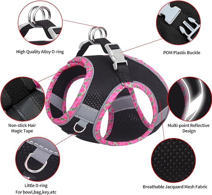 AIITLE Dog Harness and Leash Set - Ultra-Comfortable Vest with Strong Magic Tape & Glow-in-Dark Reflective Strips, Chafe-Free for Teddy, Schnauzer (Black, M)