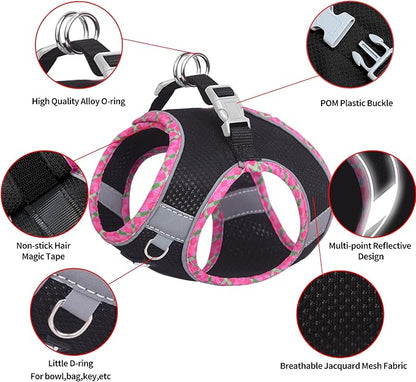 AIITLE Dog Harness and Leash Set - Ultra-Comfortable Vest with Strong Magic Tape & Glow-in-Dark Reflective Strips, Chafe-Free for Teddy, Schnauzer (Black, M)