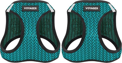 Voyager Step-in Air Dog Harness - All Weather Mesh, Reflective, No Pull Harness for Small, Medium Dogs, Cats - Secure with Hook & Loop Fastener, Buckle, Double D-Rings - Turquoise 2-Tone, XS