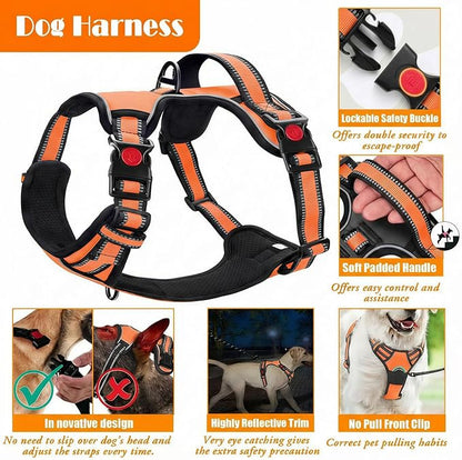 No Pull Dog Harness, Collar & Leash Set | Includes Dog Seat Belt, Collapsible Bowls & Poop Bag Dispenser. Ideal for Training, Walking, Hiking. Fits Small to Large Dogs(Orange-L)