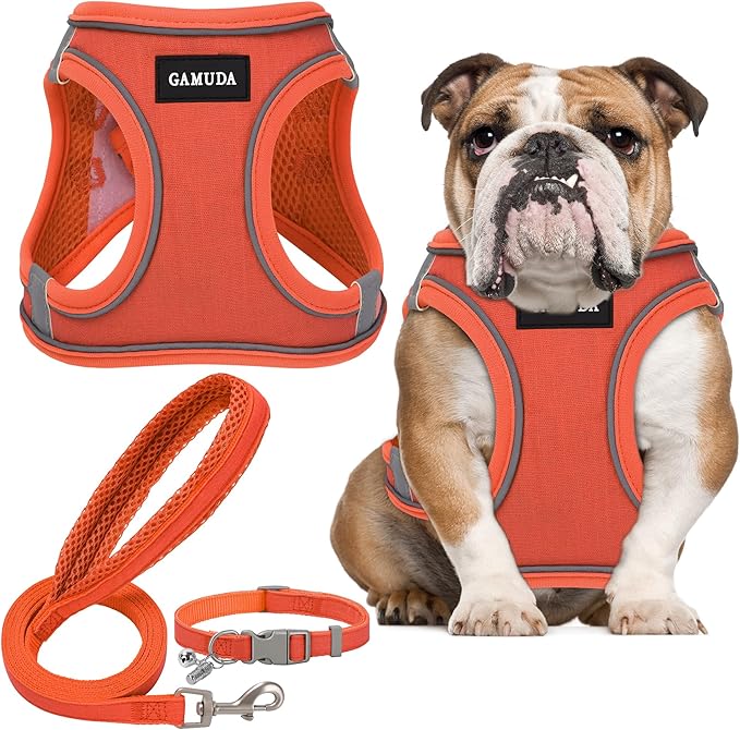 GAMUDA Small Pet Harness Collar and Leash Set, Step in No Chock No Pull Linen Fabric Soft Mesh Dog Vest Harnesses Reflective for Dogs Puppy Cats Kitten Rabbit (Orange, XL)