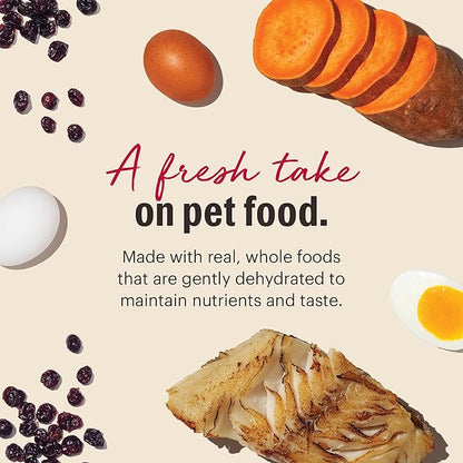 The Honest Kitchen Human Grade Wholemade™ Dehydrated Dog Food, Grain Free Dog Food, Fish, 4 lb Box