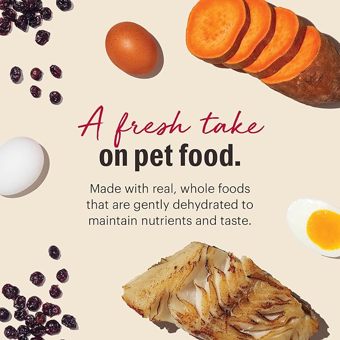 The Honest Kitchen Human Grade Wholemade™ Dehydrated Dog Food, Grain Free Fish, 10 lb (makes 40lbs)