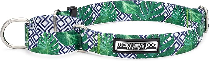 Lucky Love Dog Martingale Collar, Premium No Slip Martingale Collar for Medium Boy Dogs, Great for Whippets, Greyhounds, and More (Medium, Blue Laguna)