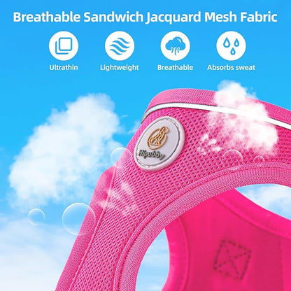 Hipubby Dog Harness and Leash Set, No Pull Soft Mesh Puppy Harness for Small Medium Dogs, Cats - Step in Reflective Breathable Lightweight Vest Harness for Walking, Training - Rose Red, XS