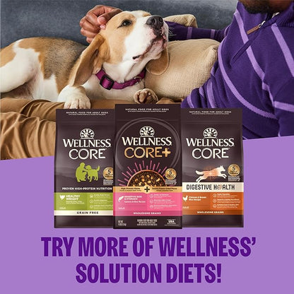 Wellness CORE Dry Dog Food, Grain-Free, High Protein, Natural, Healthy Weight Turkey & Chicken Recipe, (12-Pound Bag)