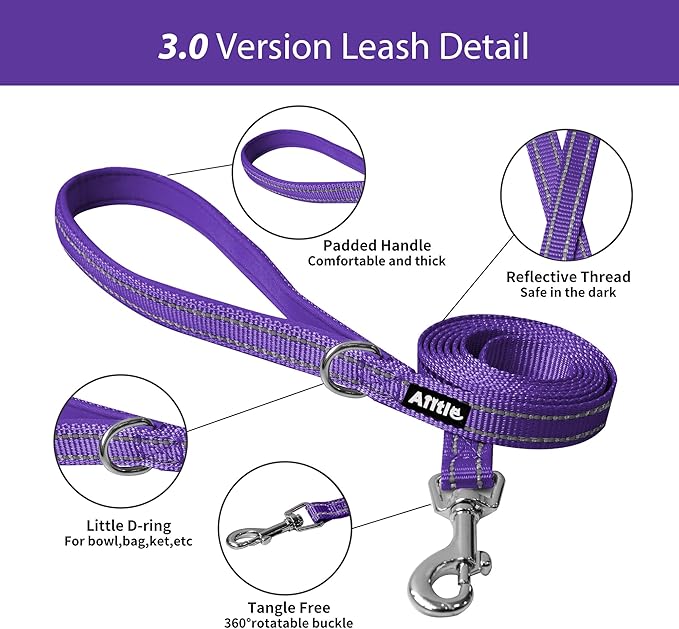 AIITLE Comfortable Dog Harness and Leash Set for Walking - Step in Vest Harness,Reflective Bands, Adjustable No Pull Puppy Essentials, for Small Dogs and House Cats Purple XS