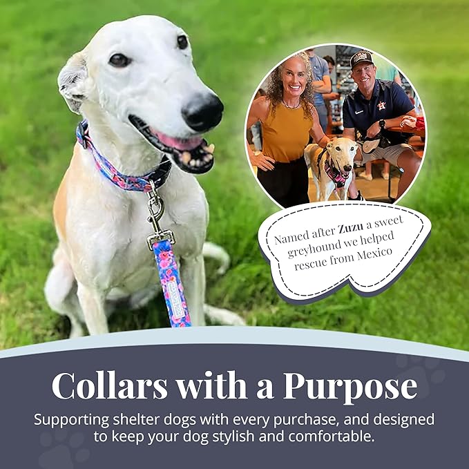 Lucky Love Dog - Adjustable Dog Collar with Easy Click Buckle for Medium Dogs, Durable, & Comfortable Collar for Male & Female Dogs, Pet Collar for Puppies & Adult Dogs - Zuzu, Medium