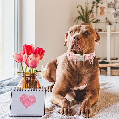 ARING PET Girl Dog Collar, Cute Spring Summer Pink Bow Puppy Pet Collars Necklace for Small Medium Large Female Dogs-XL