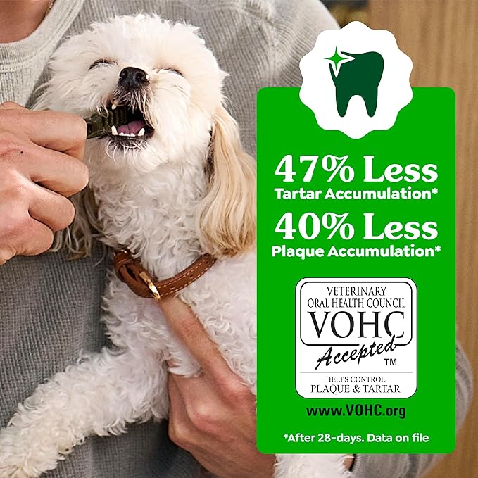 Greenies Veterinarian-Recommended Adult Natural Dental Dog Treats Petite Size, Dog Dental Chews, Original Flavor, 54 oz. Pack, 90 Count